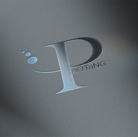 Portfolio Logo